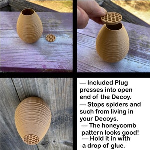 Decoy Wasp Nest Stop Wasps from Building Nests Around Your House image 6