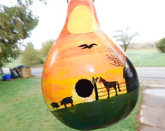 birdhouse gourd