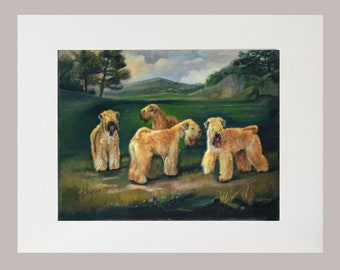 Dog Print of Soft coated wheaten terriers, white mat included, dog wall art