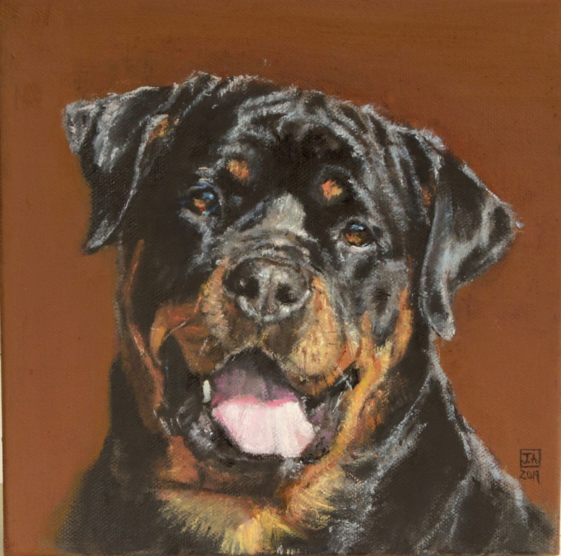 Rottweiler dog oil painting original oil on canvas painting Etsy