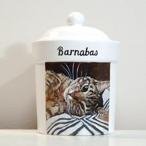 May include: White ceramic jar with a lid and a small knob. The jar features a painted image of a cat with brown and tan fur, resting on a striped surface. The name "Barnabas" is written in black script.