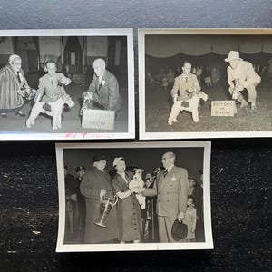 1950s Dog Show Photos Wire Fox Terrier Ch. Wyretex Wyns Traveler Trio – WM Brown