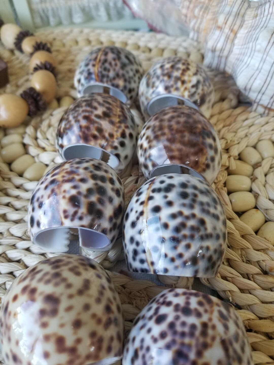 Tropical Beach Shell Napkin Rings. These 8 Exotic Tigris Cowrie Shells ...