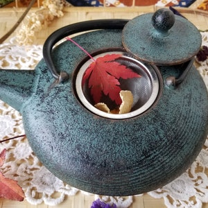 Mr Coffee Teapot Tea Kettle Turquoise Aluminum 