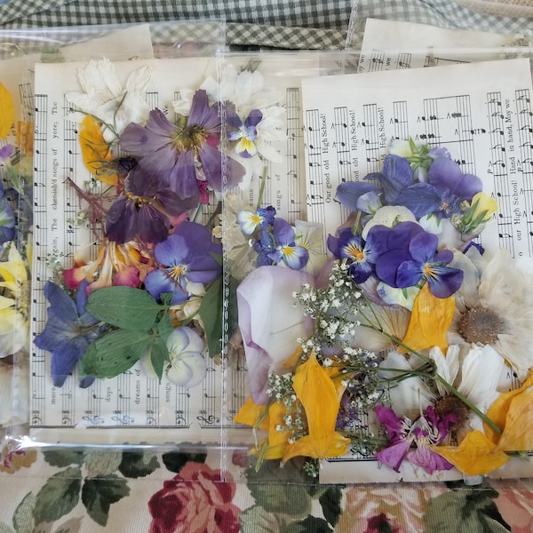 Gracious and beautiful pressed flowers from my own garden. Pressed dried flowers for crafting: resin, cards, junk Journal, jewelry, candles.