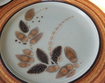 Beautiful single Origins by Franciscan dinnerplate. This single Franciscan Origin autumn 10.5 inch plate has 1970s warm bohemian appeal.