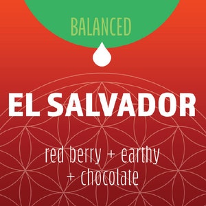 May include: A red background with a green circle at the top that says "BALANCED". A white drop is below the circle. The text "EL SALVADOR" is in white letters on a red background with a white geometric pattern. The text "red berry + earthy + chocolate" is below the geometric pattern.