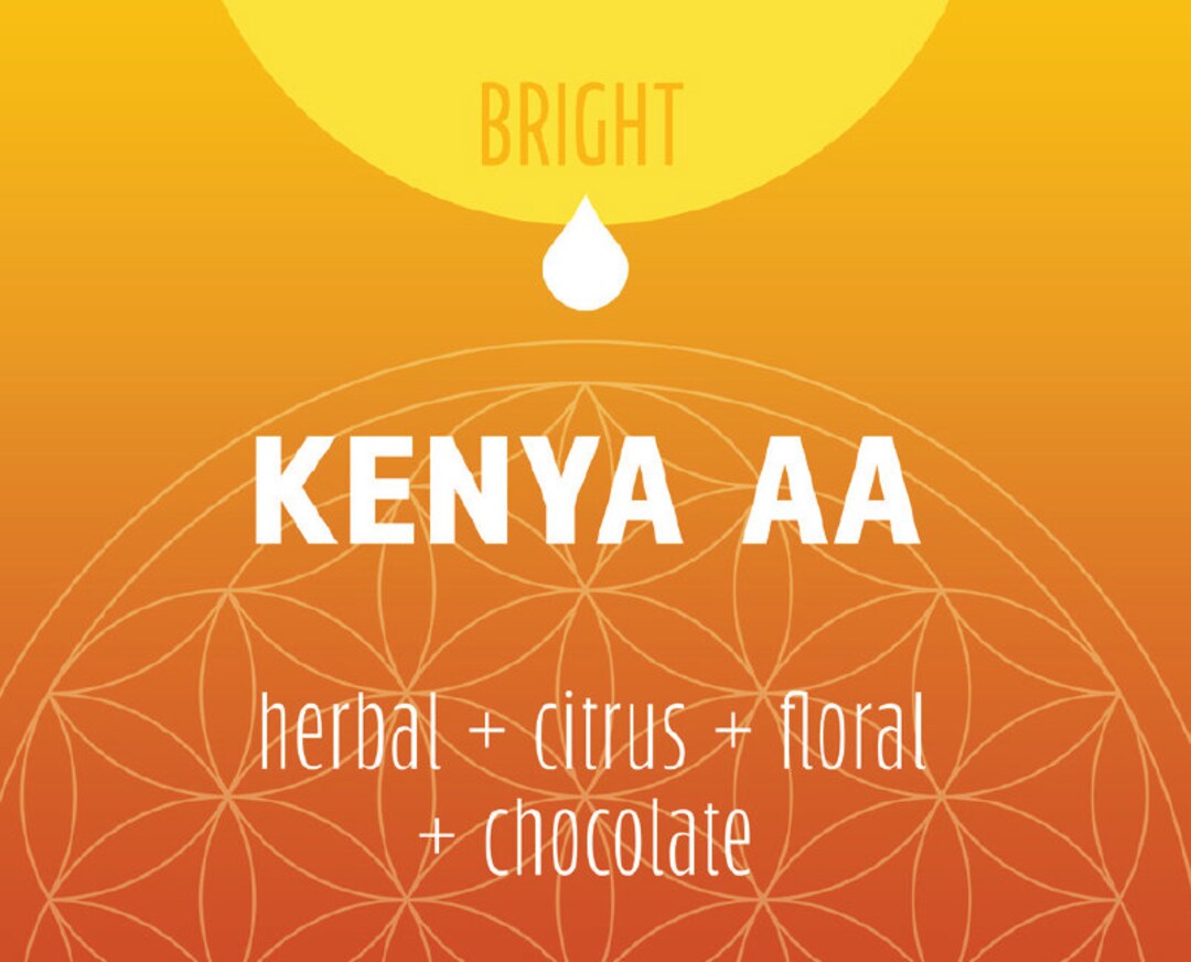 Kenya AA Coffee Light/medium Roast Kenyan Coffee Single Etsy