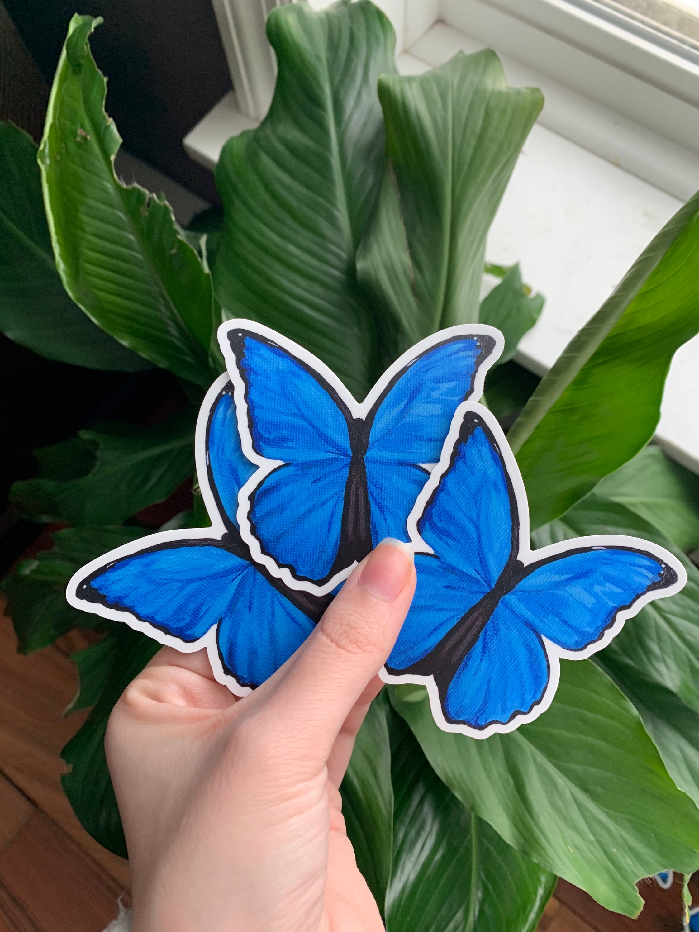 Large Blue Butterfly Stickers Blue Morpho Butterfly Vinyl Etsy