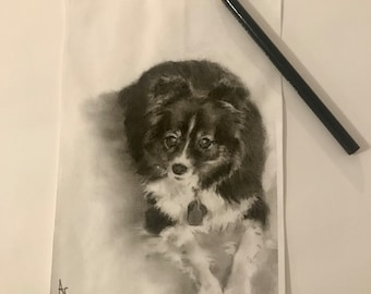 Charcoal Pet Portrait by photo