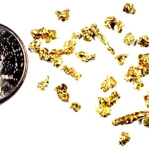 1 alaskan yukon bc natural pure gold nugget free shipping #12 mesh