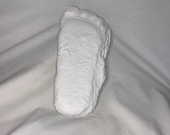 Bigfoot, Sasquatch, Yeti, Patterson Gimlin Foot Casting, bevat echte artefacten, gesigneerd boek