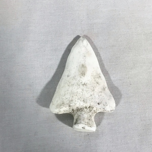 Jaws, Bruce Shark Tooth, Solid Resin, Signed, Numbered, Limited Edition