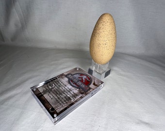 May include: A tan speckled dinosaur egg replica on a clear stand with a Jurassic Park logo and text about the egg. The text reads: "This is a genuine Jurassic Park III dinosaur egg. It was discovered in a remote jungle on Isla Sorna. The egg is a huge find. A team of scientists believe that the egg is rare and could be from a new species of dinosaur. This egg is a treasure from Jurassic Park III."