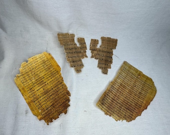 May include: Several fragments of ancient parchment with faded, handwritten text. The pieces vary in size and shape, with a yellowish-brown hue. The text appears to be in an older script, possibly historical documents.