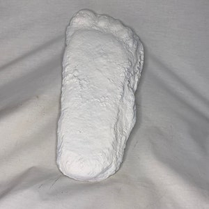 Bigfoot, Sasquatch, Yeti, Patterson Gimlin Fußguss, enthält echte Artefakte, kostenloses Buch