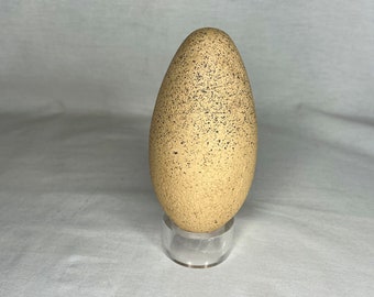 Jurassic Park III, Dinosaur Egg, Real Prop Replica, Solid Resin, Signed, Numbered, Limited Edition