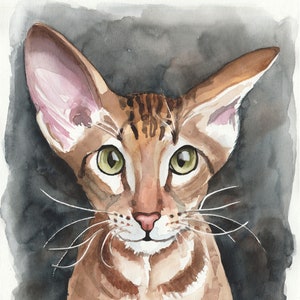Original Watercolor, Original painting,  9.4 x 12.6 inch, Drawing, Oriental Cat, Art, Studio Milamas