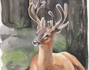 Cerf dans la forêt aquarelle originale peinte à la main, peinture d'art d'animaux sauvages et forestiers locaux idée cadeau pour les amateurs d'art, Studio Milamas
