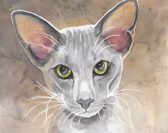 Original Watercolor, Original Painting, 9.4 x 12.6 inch , Art, Watercolor Cat Art, Oriental Cat, Cat Portrait, Animal, Pet, Studio Milamas