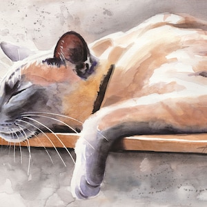 Siamese Cat, Cat, Thaicat, Art, Original Painting, 9.4 x 12.6 inch, Watercolor Painting, Pet, Cat painting, Portrait, Studio Milamas image 1
