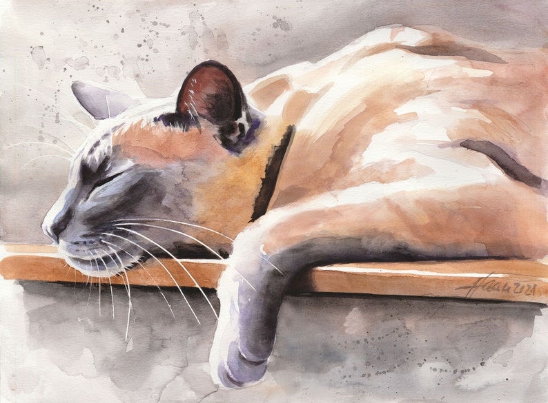 Siamese Cat, Cat, Thaicat, Art, Original Painting, 9.4 x 12.6 inch, Watercolor Painting, Pet, Cat painting, Portrait, Studio Milamas image 1