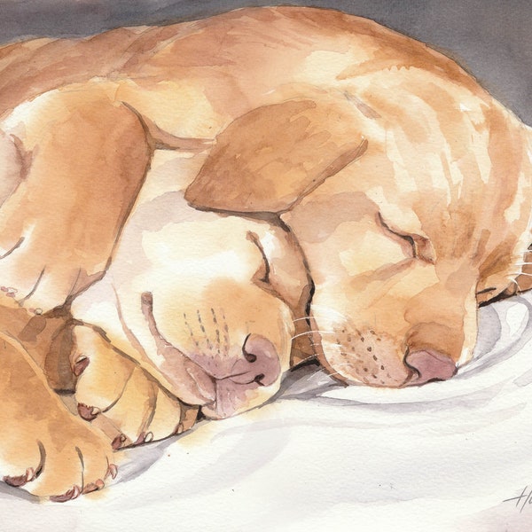 Golden Retriever Welpen Original handgemaltes Aquarell Hunde Puppies Portrait Gemälde Hundeaquarell, Studio Milamas