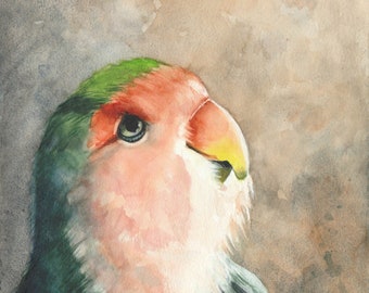 Original Watercolor Painting, Little Parrot, 9.4 x 12.6 inch, Art, Drawing, Birdpainting, Gift, Exotic Parrots, handpainted, Studio Milamas