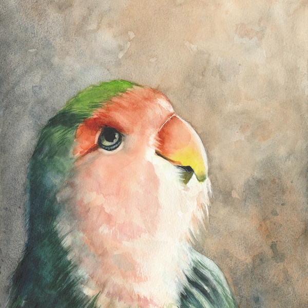 Kleiner Papagei Original handgemaltes Aquarell exotischer Vogel Kunst Gemälde Einzelstück, Studio Milamas