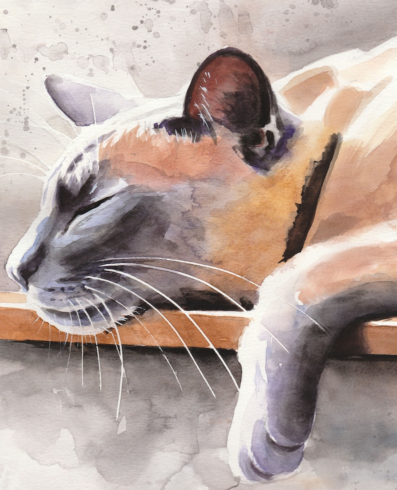 Siamese Cat, Cat, Thaicat, Art, Original Painting, 9.4 x 12.6 inch, Watercolor Painting, Pet, Cat painting, Portrait, Studio Milamas image 2