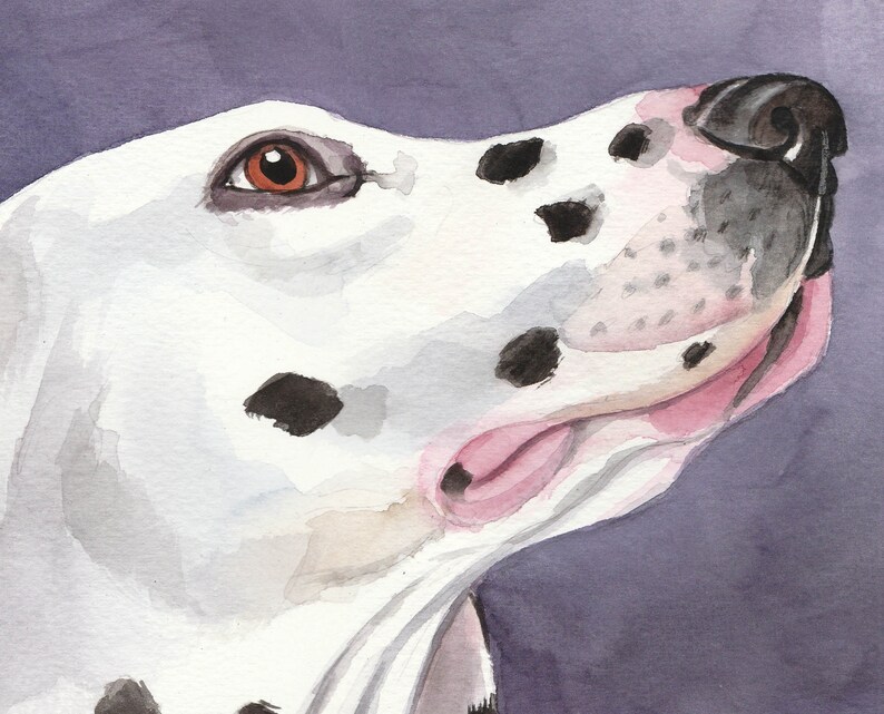 Dalmatian Dog Portrait, Art, Original Watercolor Painting 9.4 x 12.6 inch, Dogs, Dog Painting, Drawing, Gift, handpainted, Studio Milamas image 2
