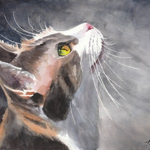 Original Painting, 9.4 x 12.6 inch, Watercolor painting, Watercolor Cat, Cat Painting, Cat, Art, Bird Watching, Studio Milamas image 1