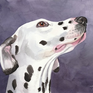 Dalmatian Dog Portrait, Art, Original Watercolor Painting 9.4 x 12.6 inch, Dogs, Dog Painting, Drawing, Gift, handpainted, Studio Milamas image 1