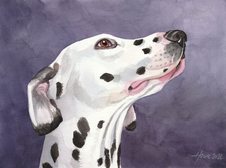 Dalmatian Dog Portrait, Art, Original Watercolor Painting 9.4 x 12.6 inch, Dogs, Dog Painting, Drawing, Gift, handpainted, Studio Milamas image 1