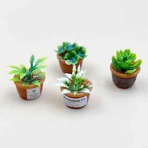Miniature potted plants 4pcs/set Miniature home plant Miniatures Dollhouse miniature home decoration Gift for her Wall decor