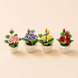 May include: Four miniature rose plants in white woven pots. The roses are in shades of pink, purple, yellow, and red, with green leaves. The pots are arranged in a row against a neutral background.