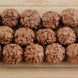 Rudraksha Mala 8 mm ~ Original from Nepal (1273) image 2