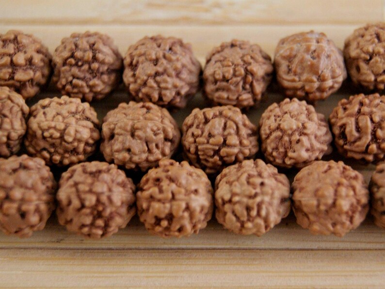 Rudraksha Mala 8 mm ~ Original from Nepal (1273) image 2