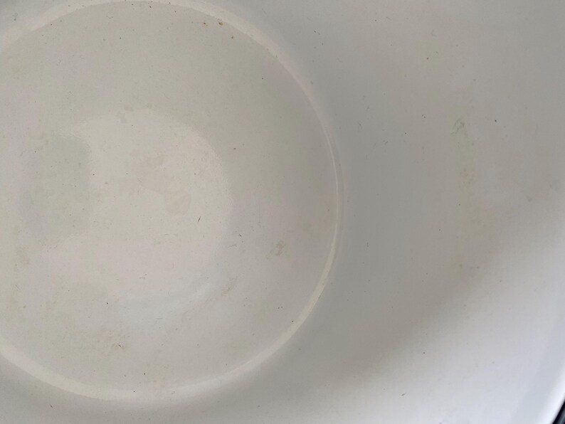 May include: A close-up shot of the interior of a white bowl. The bowl has a smooth, slightly reflective surface with subtle variations in tone. Small dark specks are scattered across the interior.