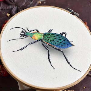 Diy craft Kit Embroidery gift,Intermediate Embroidery Kit insect diy,3D effects kit,Embroidery kit Carabus,Diy Kit adult kids,Gift for her