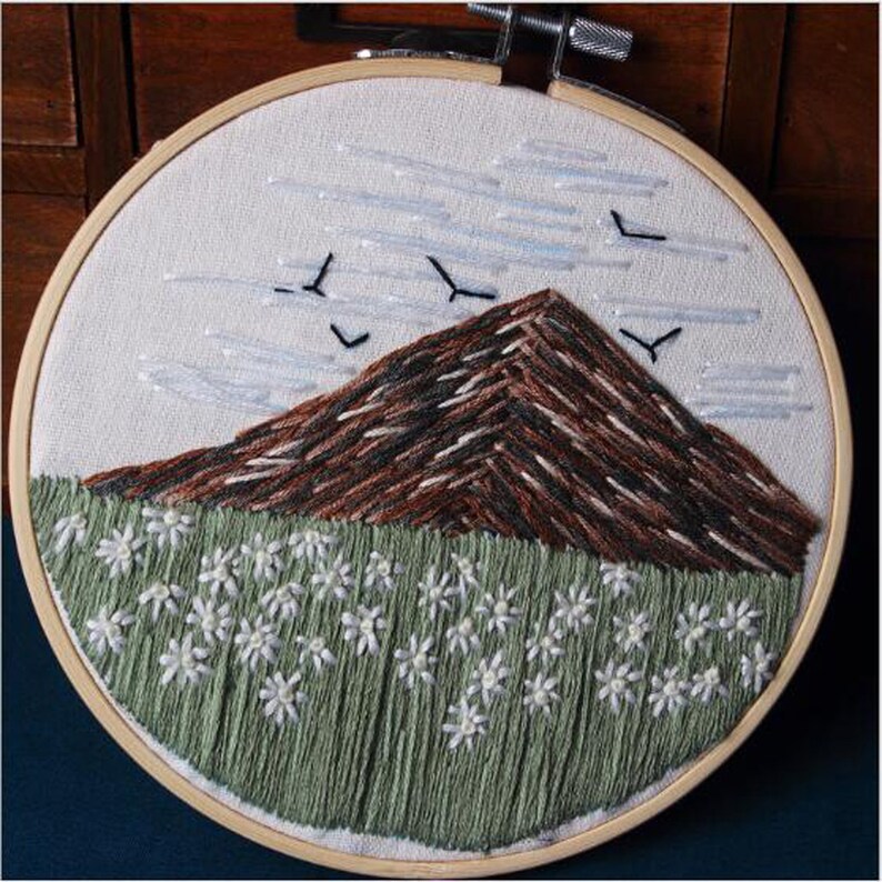 Beginner Scenery Embroidery Kit Modern Flower Pattern Hand Etsy