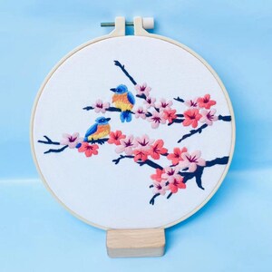 Beginners to Intermediate Embroidery Kit | Modern Embroidery with Pattern |Needle Work Pack | Diy bird kit | Diy Embroidery kit | For Adults