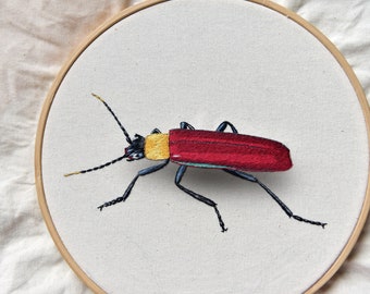 Intermediate Embroidery Kit insect diy,Diy craft Kit Embroidery gift,3D effects kit,Embroidery kit Carabus,Diy Kit adult kids,Gift for mom