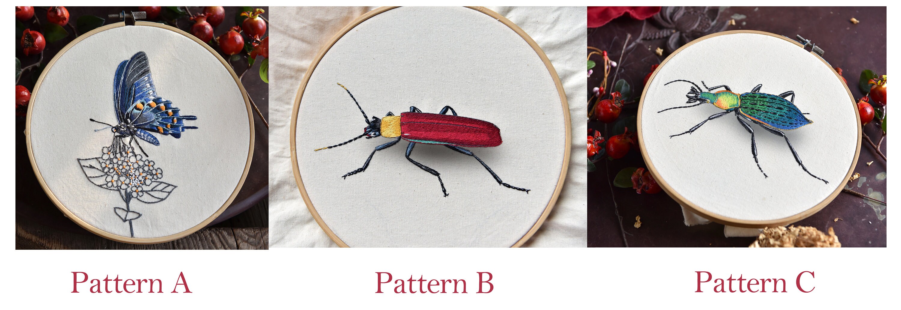 Intermediate Embroidery Kit Insect Diydiy Craft Kit Etsy Australia