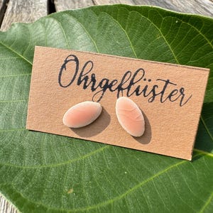 Könnte beinhalten: Zwei ovale, hellrosa Ohrringe auf einer kleinen braunen Karte mit dem Wort "Ohrgeflüster" in Schreibschrift. Die Karte liegt auf einem großen grünen Blatt.