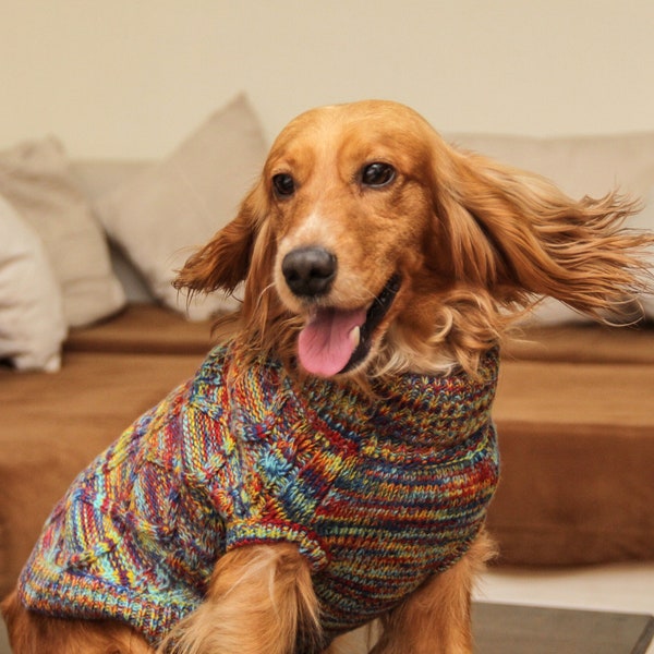 Handgemaakte Mongoolse wollen hondentrui: kabelgebreide Everest-trui