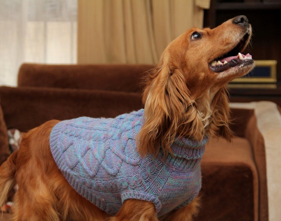 kathmandu dog jacket