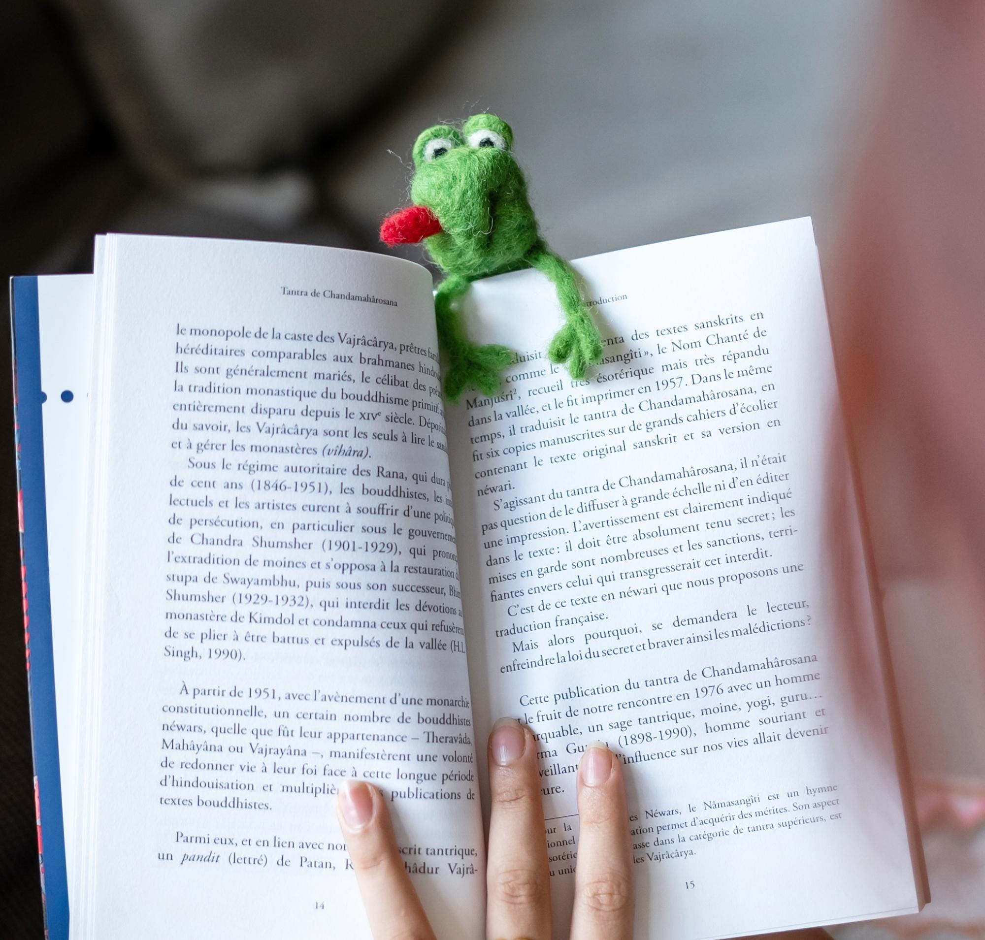 Felted Frog Bookmark, Handmade, 16cm, perfect gift for readers, bookmark for kids and adults, needle felted - 100% Wool, All natural dyes