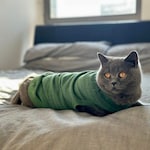 Cat Clothing