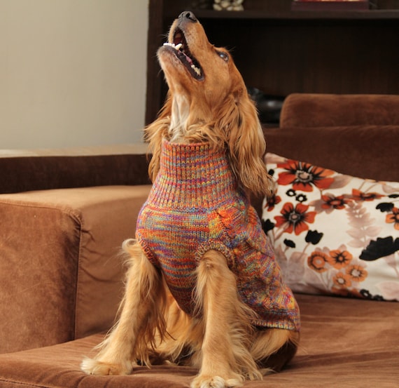 kathmandu dog jacket